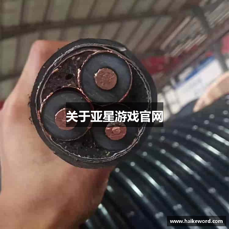 关于亚星游戏官网